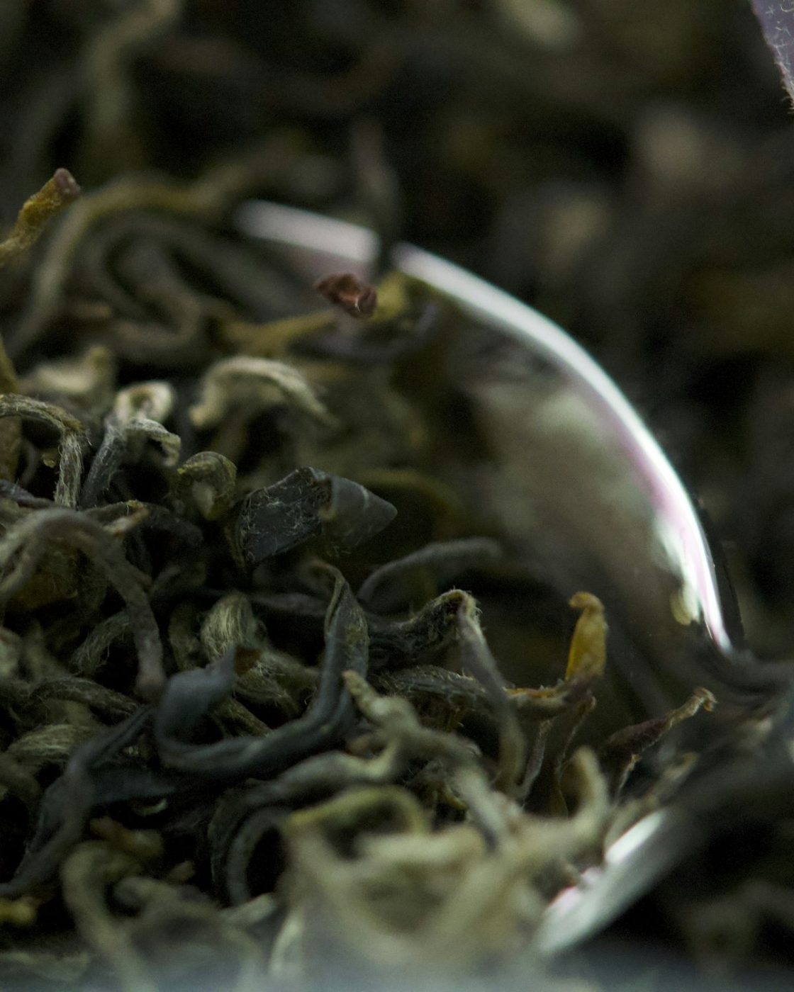 Thé vert Sencha